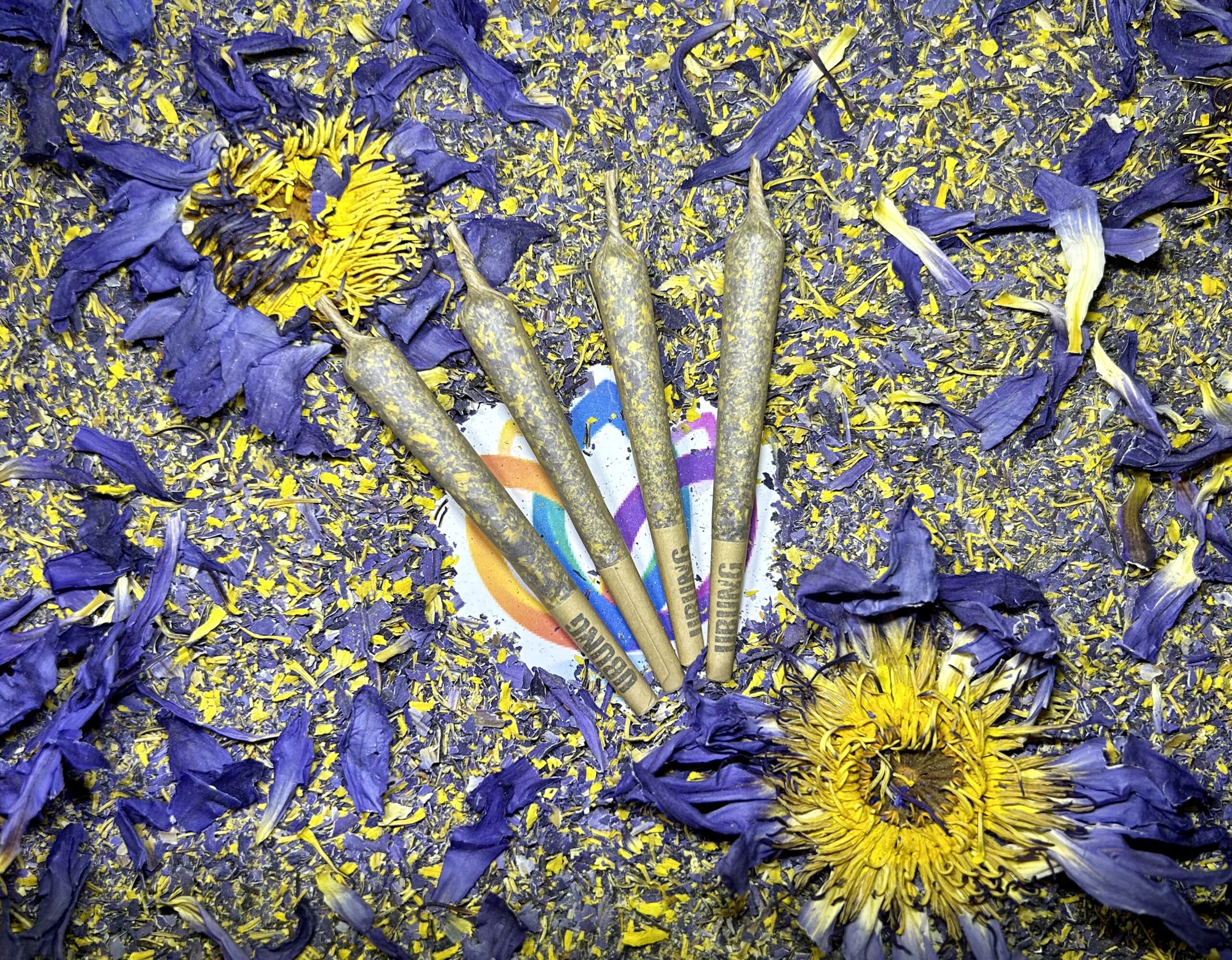 Pre-rolls of Grinded Blue Lotus Flower